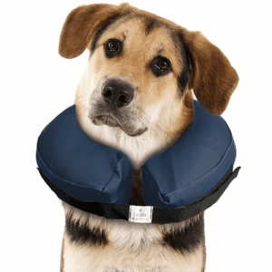 Aufblasbarer Halskragen Gr. XS für Hund & Katz