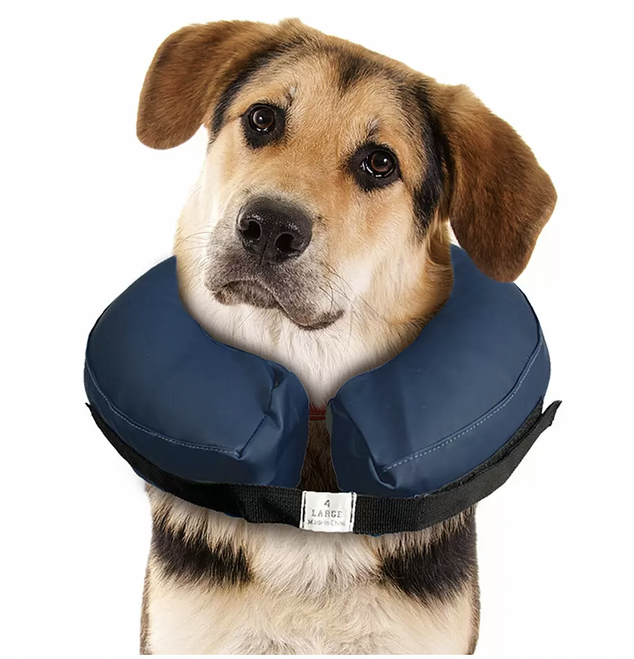 Aufblasbarer Halskragen Gr. XS für Hund & Katz