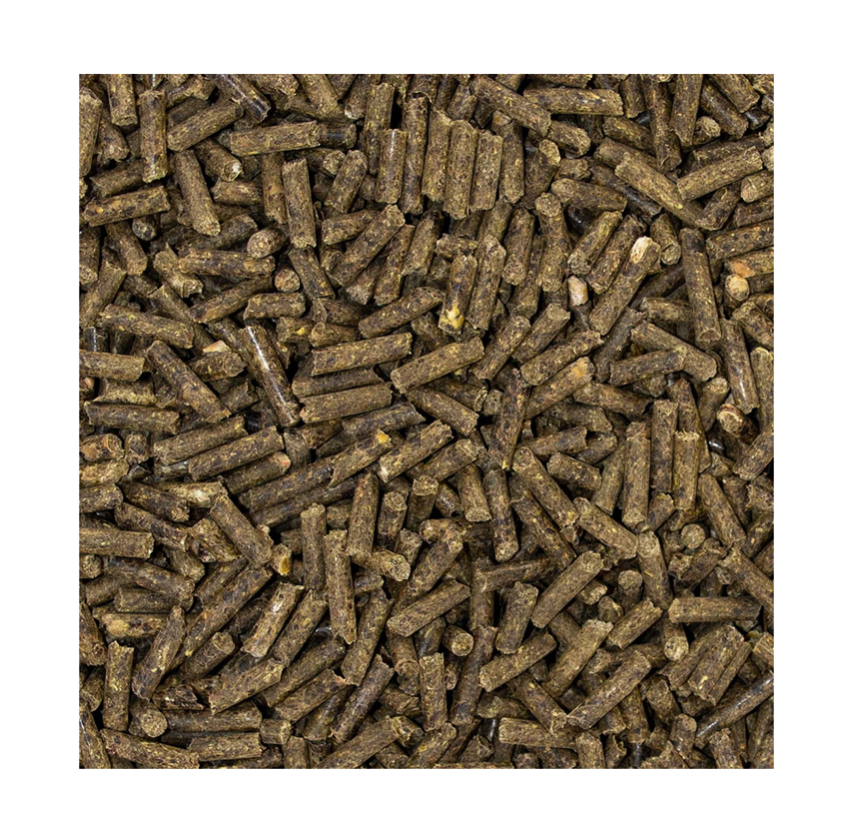 SPEED SELENIUM boost für Pferde, 1,50 kg – Bild 4