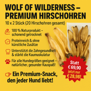 Wolf of Wilderness – Premium Hirschohren - 10 x 2 Stück XXL Box